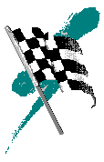 A Checkered Flag